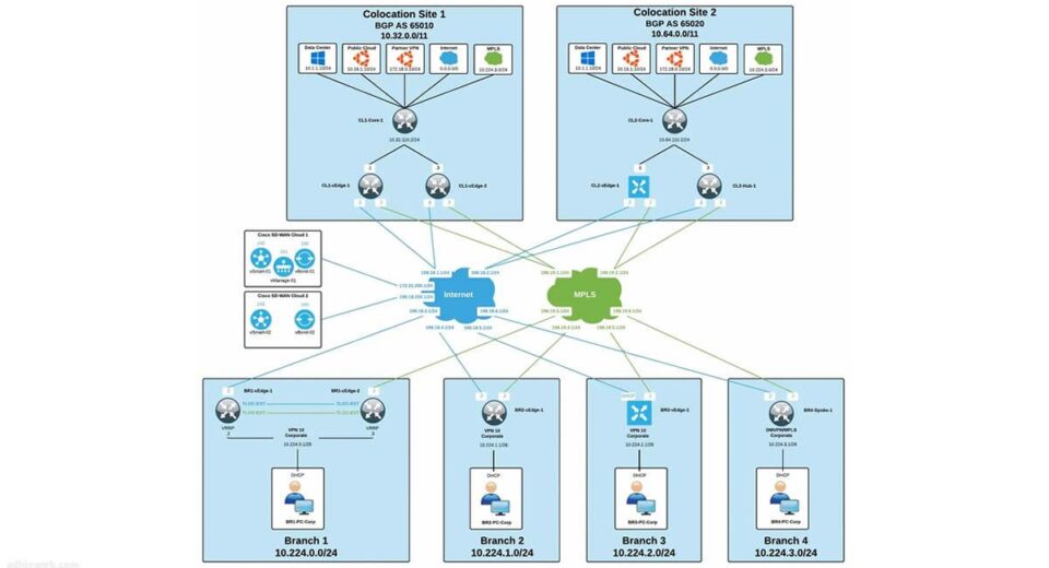sdwan topology viptela