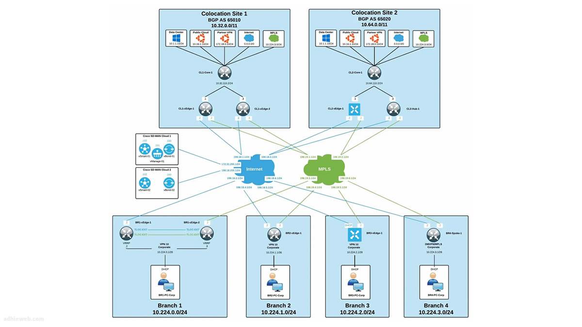 sdwan topology viptela