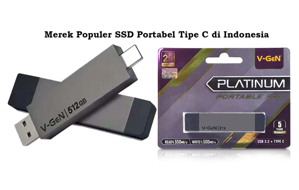 Merek Populer SSD Portabel Tipe C di Indonesia